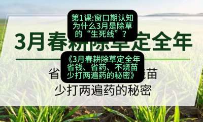 第1节：窗口期认知，为什么3月是除草的&ldquo;生死线&rdquo;？，课程：《3月春耕除草定全年：省钱、省药、不烧苗、少打两遍药的秘密》