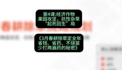 第4节：经济作物果园攻坚，抗性杂草&ldquo;起死回生&rdquo;局，课程：《3月春耕除草定全年：省钱、省药、不烧苗、少打两遍药的秘密》