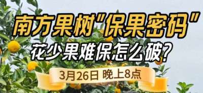 《细说农技》守住全年丰收！李军开讲南方果树保果技术，｜3 月 26 日晚 8 点