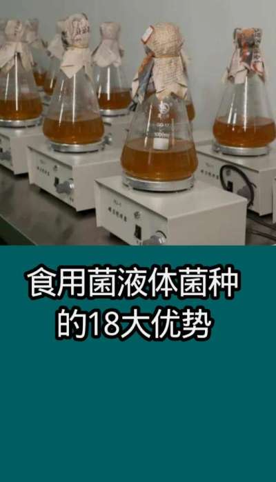食用菌      食用菌液体菌种的18大优势