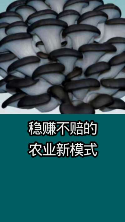 稳赚不赔的农业新模式